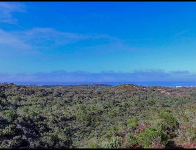 FARM FOR SALE IN WILDERNESS